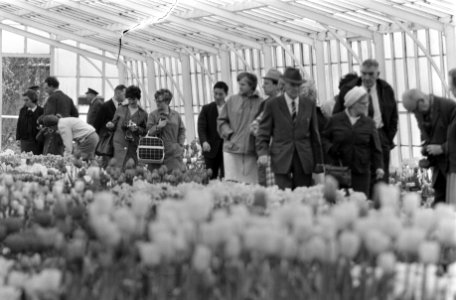 Voorjaar in de stad kinderen, Bestanddeelnr 922-2731 photo