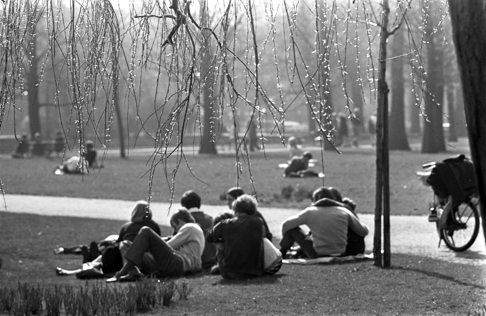 Voorjaar. Mensen genieten van de middagpauze in het Vondelpark, Bestanddeelnr 921-2019