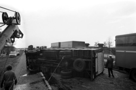 Vrachtwagen met schapen gekanteld op weg Amsterdam Den Haag , schapen worden bi…, Bestanddeelnr 925-1226
