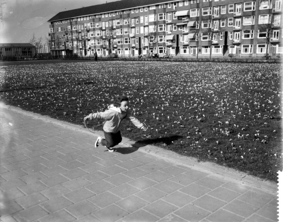 Voorjaar in Amsterdam, bloeiende crocusvelden, Bestanddeelnr 910-2022