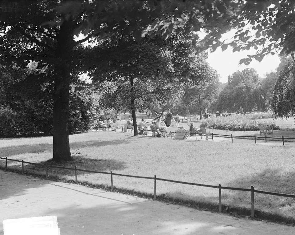 Vondelpark herfststemming, Bestanddeelnr 903-6196
