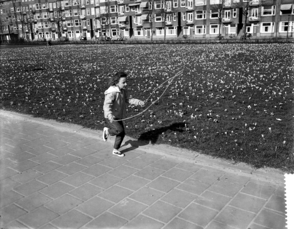 Voorjaar in Amsterdam, bloeiende crocusvelden, Bestanddeelnr 910-2019
