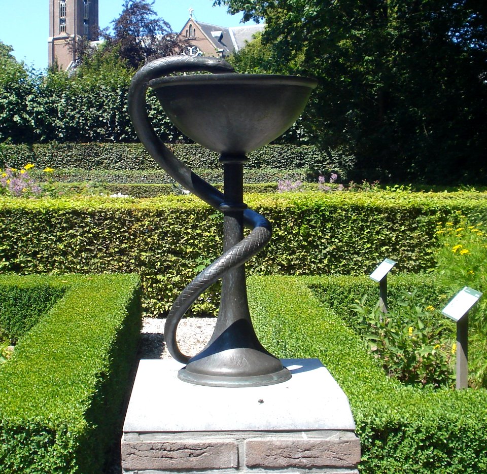 Voorhout kunstwerk aesculaap-teken