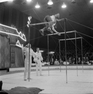 Voorstel Circus Americano in het Nieuwe RAI Gebouw, Bestanddeelnr 913-3237