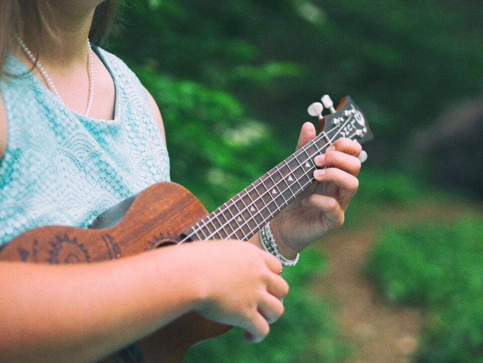 Musical instrument musician