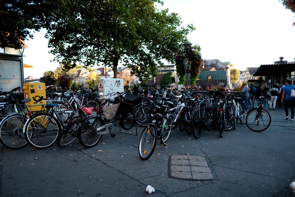 Vor-neckarmueller-1