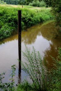 Wasserpegel im Stadtlohner Bockwinkel