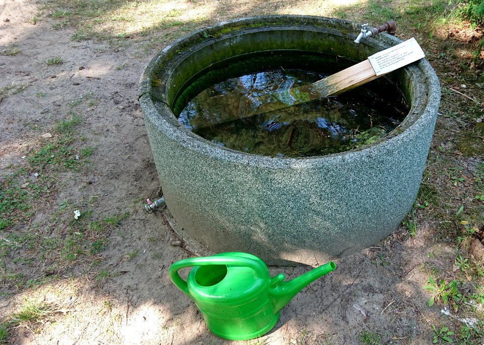 Wasserstelle mit Ausstiegshilfe für Tiere
