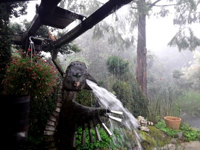 Wasserspeier in Kaaks
