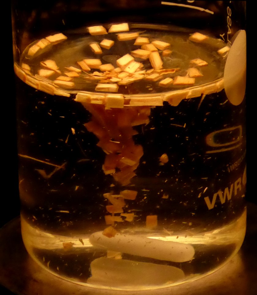 Wasserstrudel mit Treibgut langsam