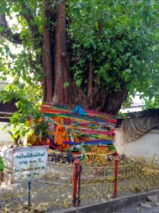 Wat Chana Songkhram - 2017-01-26 (007) photo