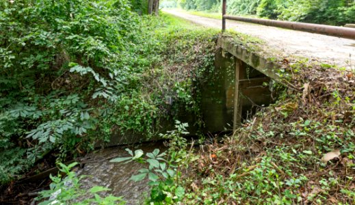 Waste Weir Outflow on 4 mile level Logwall above Lock 14