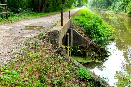 Waste Weir on 4 Mile Log Wall Level by lock 14