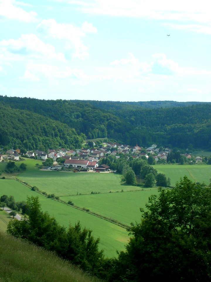 Wasserzell vom Frauenberg (2)