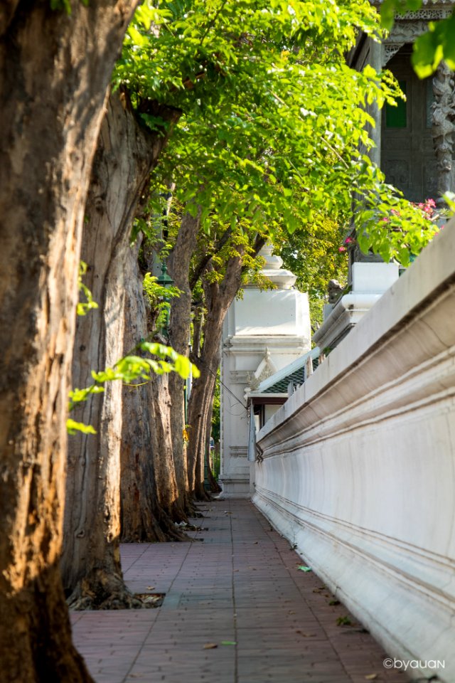 Wat Suthat (144860999)