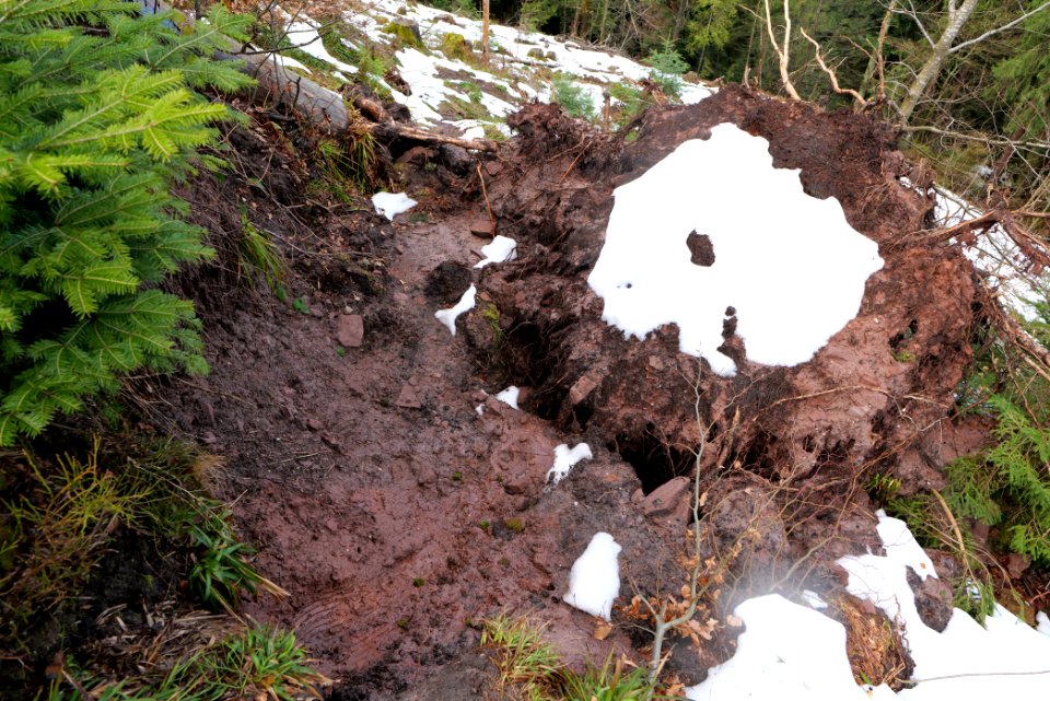 Wasserfallweg Kammerloch 2020-03-11 01