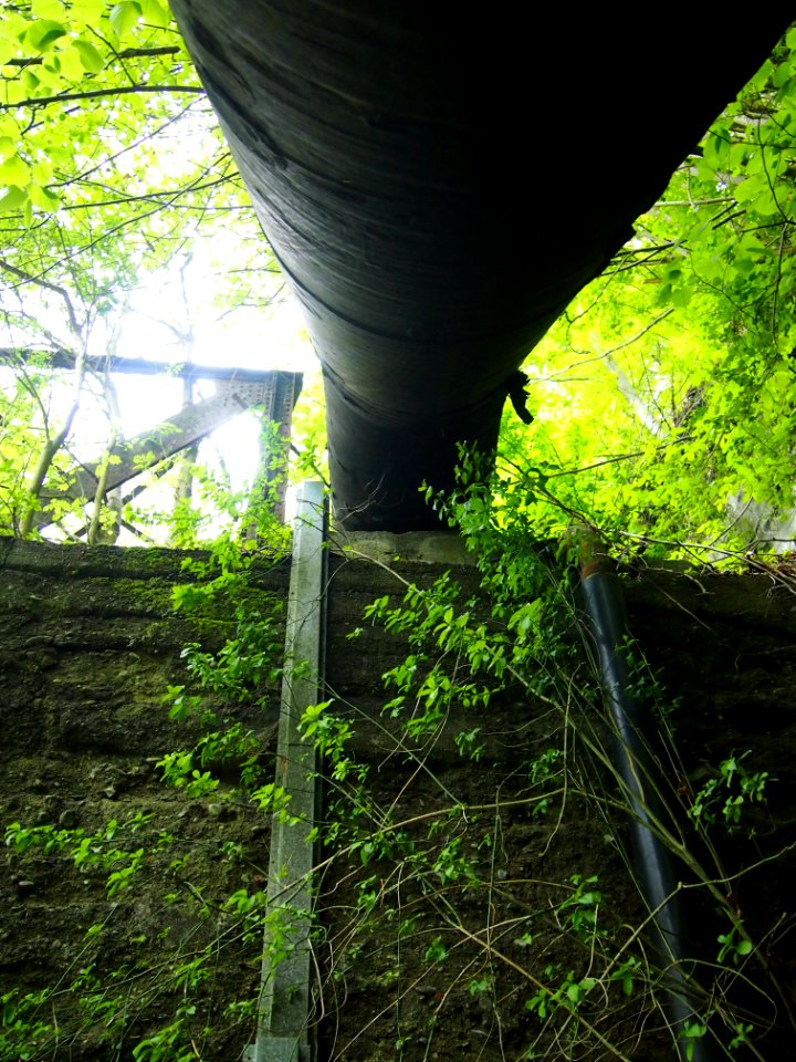 Wasserbruecke bei Altenbrak 3