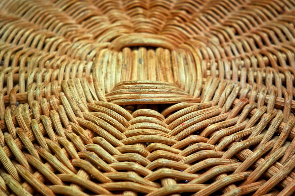 Reed basket weaving craft