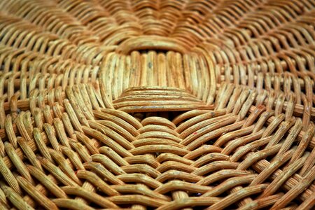 Reed basket weaving craft photo
