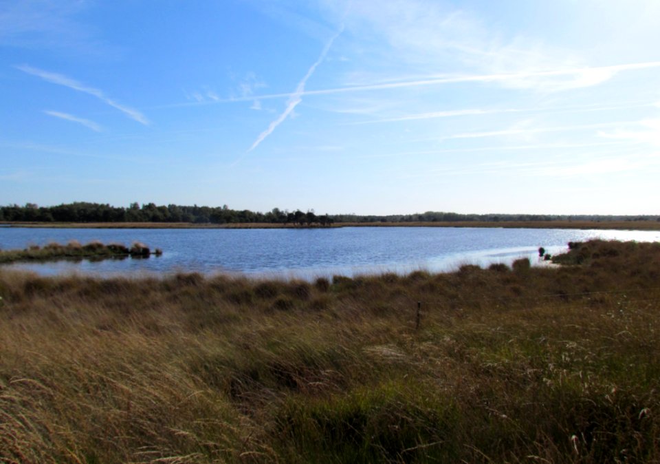 Waschven 2012