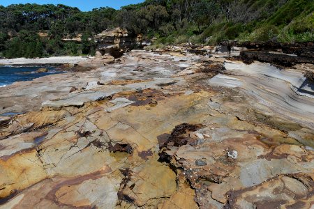 Wasp Head, Murramarang National Park 16