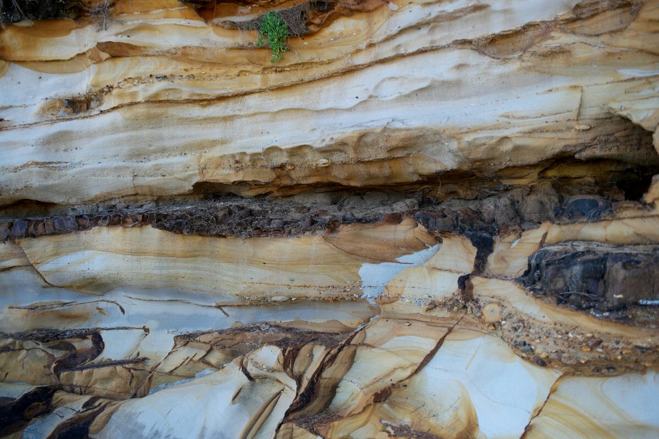 Wasp Head, Murramarang National Park 01