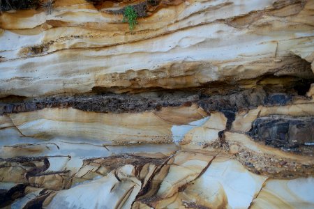 Wasp Head, Murramarang National Park 01