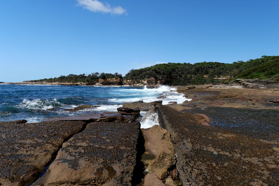 Wasp Head, Murramarang National Park 09