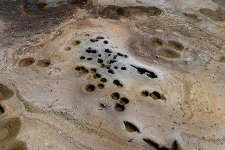 Wasp Head, Murramarang National Park 25