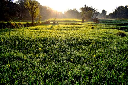 Landscape hayfield panoramic