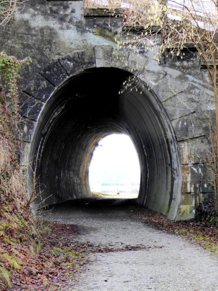 Wasserburg am Inn, Eisenbahntunnel, 1