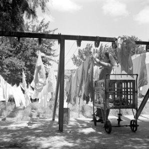 Wasdag in kibboets Chefziba een vrouw hangt de was te drogen, Bestanddeelnr 255-0637