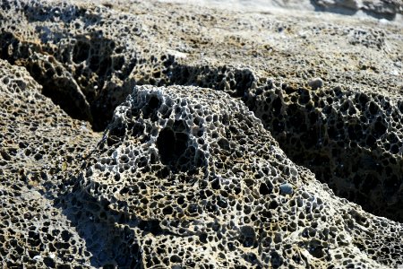 Wasp Head, Murramarang National Park 28