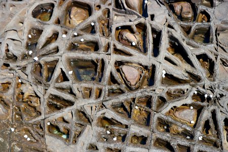 Wasp Head, Murramarang National Park 23