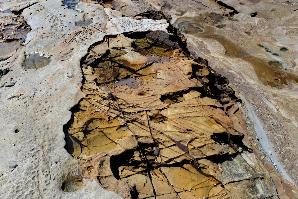 Wasp Head, Murramarang National Park 18