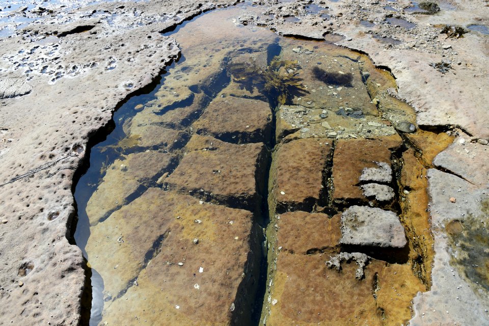 Wasp Head, Murramarang National Park 26