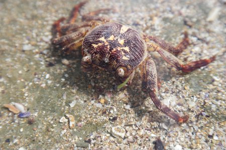 Wasp Head, Murramarang National Park 30