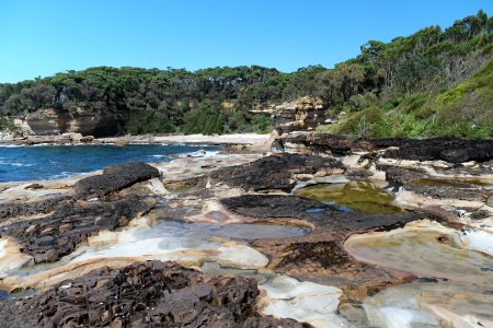 Wasp Head, Murramarang National Park 24