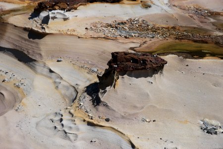 Wasp Head, Murramarang National Park 15