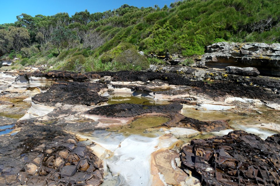 Wasp Head, Murramarang National Park 19