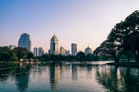 Tree thailand tower