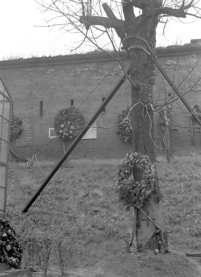 Warschau Citadel executieplaats van Poolse vrijheidsstrijders Een boom wordt , Bestanddeelnr 191-0029