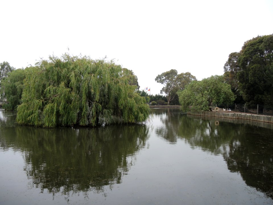 Warrook Farm (7 January 2020) 27