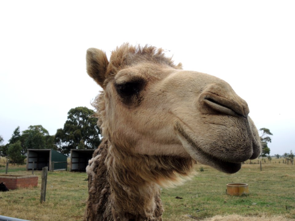 Warrook Farm (7 January 2020) 16
