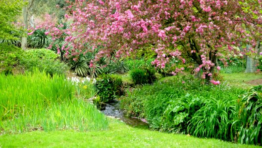 Water - Giardino di Ninfa, Italy - DSC03163