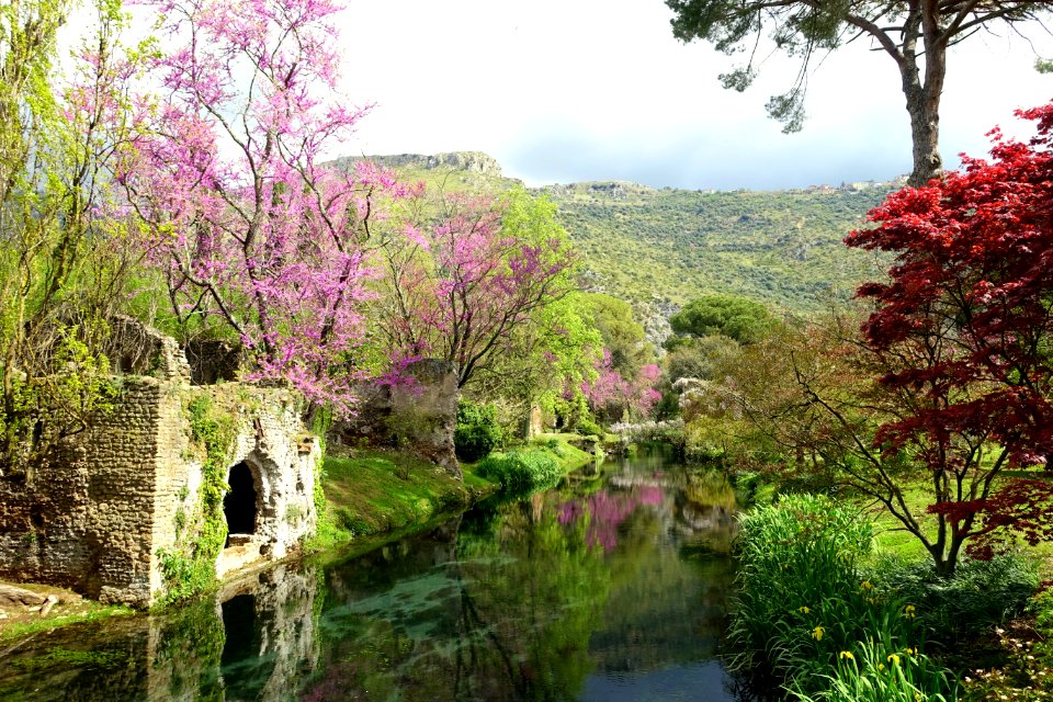 Water in spring - Giardino di Ninfa, Italy - DSC03058