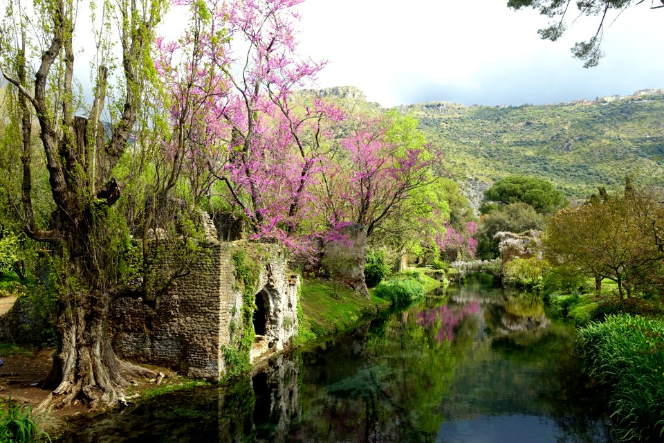 Water in spring - Giardino di Ninfa, Italy - DSC03070