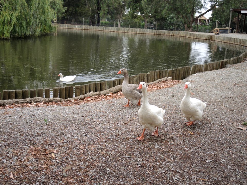 Warrook Farm (7 January 2020) 5