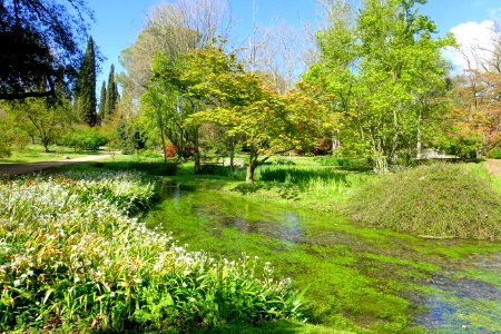 Water - Giardino di Ninfa, Italy - DSC02886