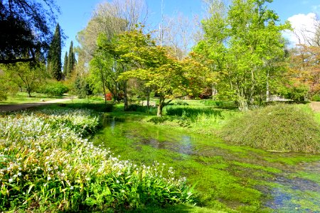 Water - Giardino di Ninfa, Italy - DSC02886 photo